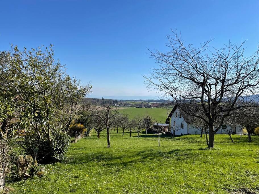 Zweistoeckiges Natur-Holzhaus Mit Berg- & Seesicht Horgenzell Εξωτερικό φωτογραφία