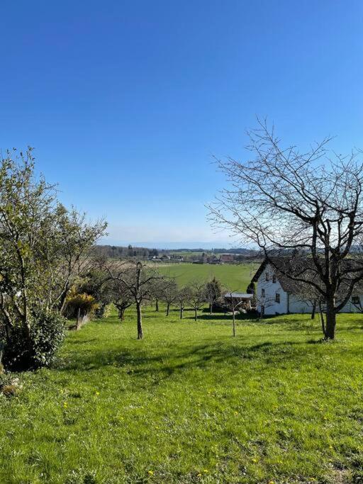 Zweistoeckiges Natur-Holzhaus Mit Berg- & Seesicht Horgenzell Εξωτερικό φωτογραφία